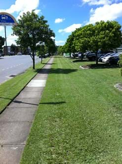 GCMS Landscaping Brisbane Property maintenance